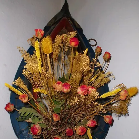 Alvera לינה וארוחת בוקר