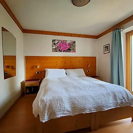 Alvera B&B 코르티나 담페조